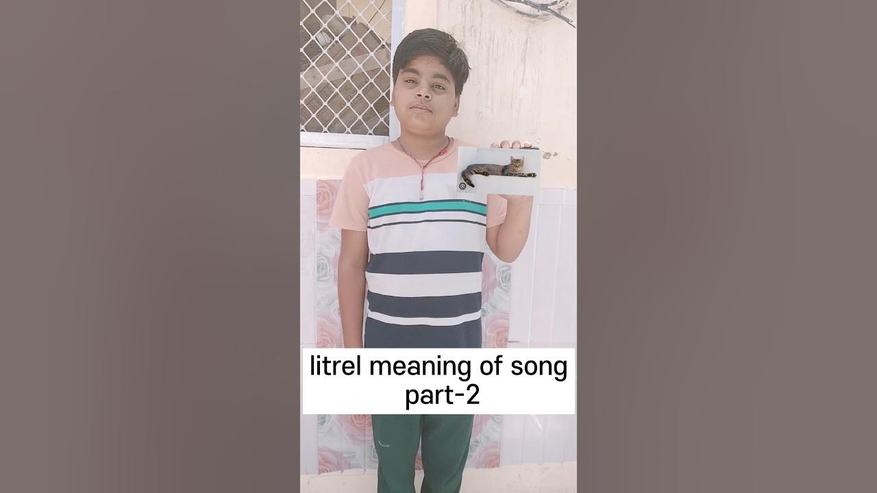 literal-meaning-of-song-part-2-libaas-song-viral-funny-funnyshorts