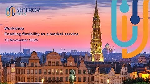 1st Policy SynergyNets Policy Workshop: Enabling flexibility as a market service
