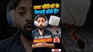 चीटियों का सबसे बड़ा सीक्रेट खुल गया 😱 #amazingfacts #shockingfacts #shorts
