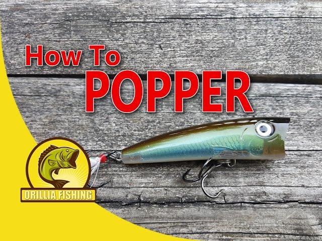 How to use a top water Popper style bait 