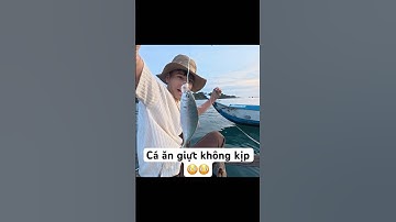 Câu cá biển và câu mực đêm tại Phú Quốc #truongvabien #fishing #phuquoc