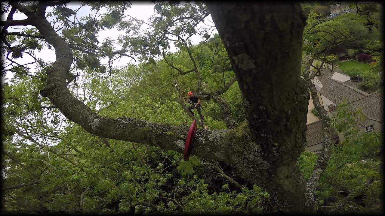 Climbing/Throwing Hook Action DMM Captain YouTube