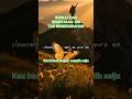 In your arm Lord I belong / Dalam pelukanMU aku turut serta #shorts #lagurohaniterbaru #talentana