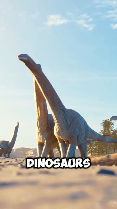 Dinosaurs still exist 😱 #didyouknow #facts #dinosaur #birds