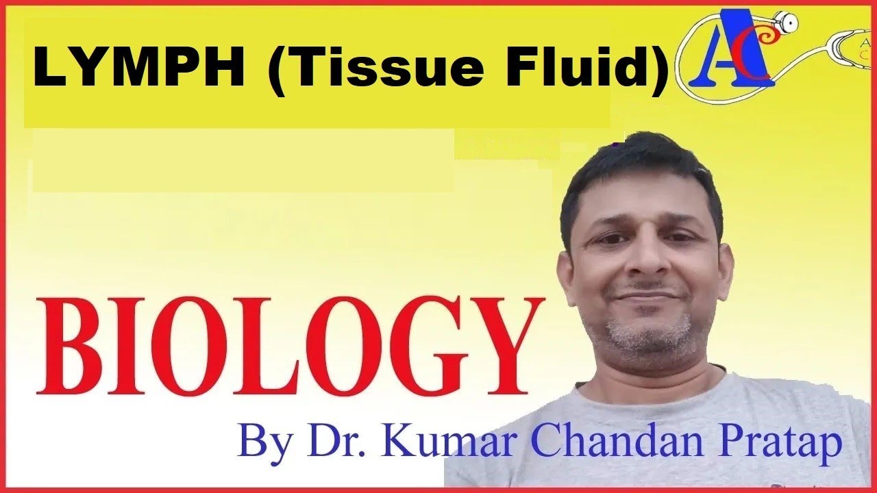 LYMPH (Tissue Fluid)