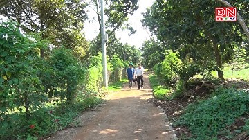 Tấm gương sáng trong phong trào thi đua yêu nước