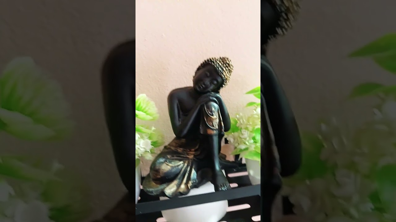 #song namo buddhay karodon bar lakhon karodon bar namo buddhay#song namo buddhay 🙏🩵 India 💙