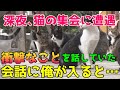 俺は現役タクシー運転手 深夜に休憩していると猫の集会に遭遇した そっと近づいて話を聞いてみると衝撃なことを話していた その野良猫の会話に俺も入ってみると・・【猫の不思議な話・朗読】
