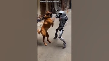 Video of fight between wild dog and electric robot#viralvideo #robot #funny #tiger