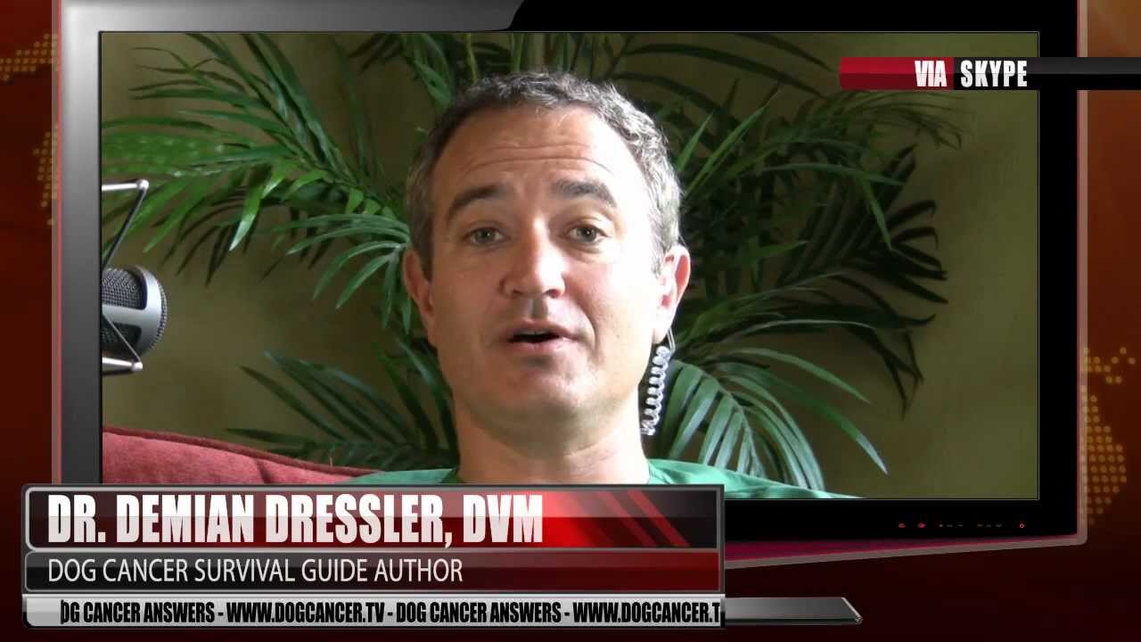 dr dressler dog cancer