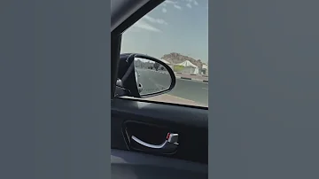 ستوريات انستا طلعات اغاني مرتبه بدون حقوق 