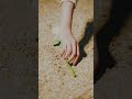笑い話にされてしまうんだろうか #片想い #HelloHello #バンド #歌詞動画