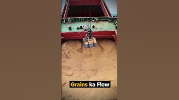 Why Grain Ships Don’t Use Nets 😮 | #shorts  #shortvideo