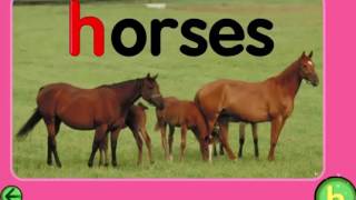 English alphabet letter h