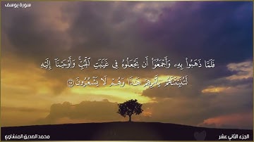 آيات بينات من سورة يوسف بصوت الشيخ محمد الصديق المنشاوي رحمه الله