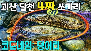 괴산달천4짜쏘가리/아이마루베이트G5서스펜드미노우/여울 속 4짜쏘가리