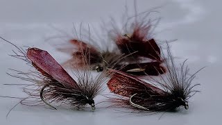 Tying a Tape wing Caddis dry fly with Scott Jackson 2025