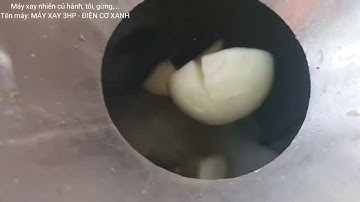 Máy xay nhiễn củ hành, tỏi - Điện Cơ Xanh - 0984467870