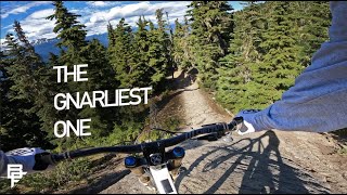 THIS HAS TO BE THE STEEPEST TRAIL! WHISTLER BIKEPARK.