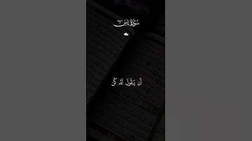 #سورة_يس #ماهر_المعيقلي #لايك #اكسبلور #قرآن #راحة_نفسية