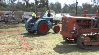 KINGAROY VINTAGE MACHINERY DAY 2014 LANZ BULLDOGS