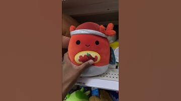 “Squishmallow Adventure At Target! Meet Sabado, The Bag Of Hot Cheese Puffs. #squishmallows #target