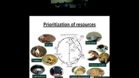 Mariana Fuentes - Prioritising multiple management actions for marine turtle conservation