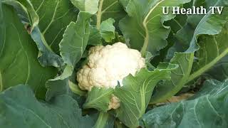 ফুলকপির পুষ্টিগুণ ও উপকারিতা। U Health TV