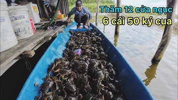 Một buổi thăm cua 6 cái 12 cửa ngục được 50 ký cua gạch quá đã