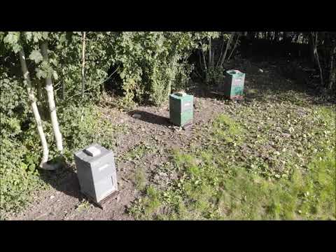 Bigården 10 2021 slowmotion