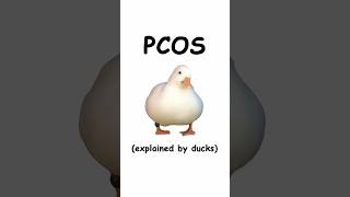 PCOS (explained by ducks)
