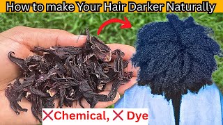 No Jokes! This Will Darken Your Natural Hair!! No Chemical, No Dye, No Henna!!