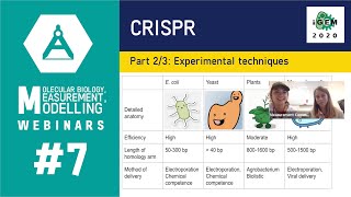 Week #7: CRISPR 2/3: Experimental techniques