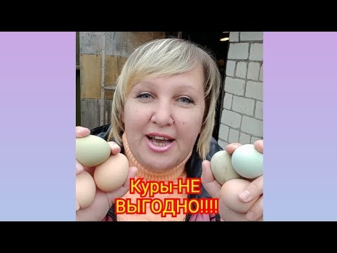 КУРЫ-ЭТО НЕ ВЫГОДНО!!!!