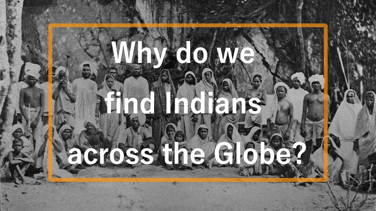 Why do we find Indians across the Globe? -  A History of Indentured Labour