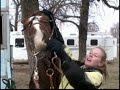 Amanda waymaster rodeo basketball 03 04