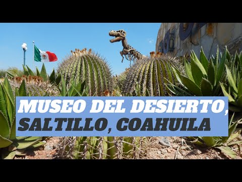 Museo del Desierto Saltillo Coahuila - Malviajada