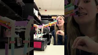 Jaedyn Allen Module 5 Assignment