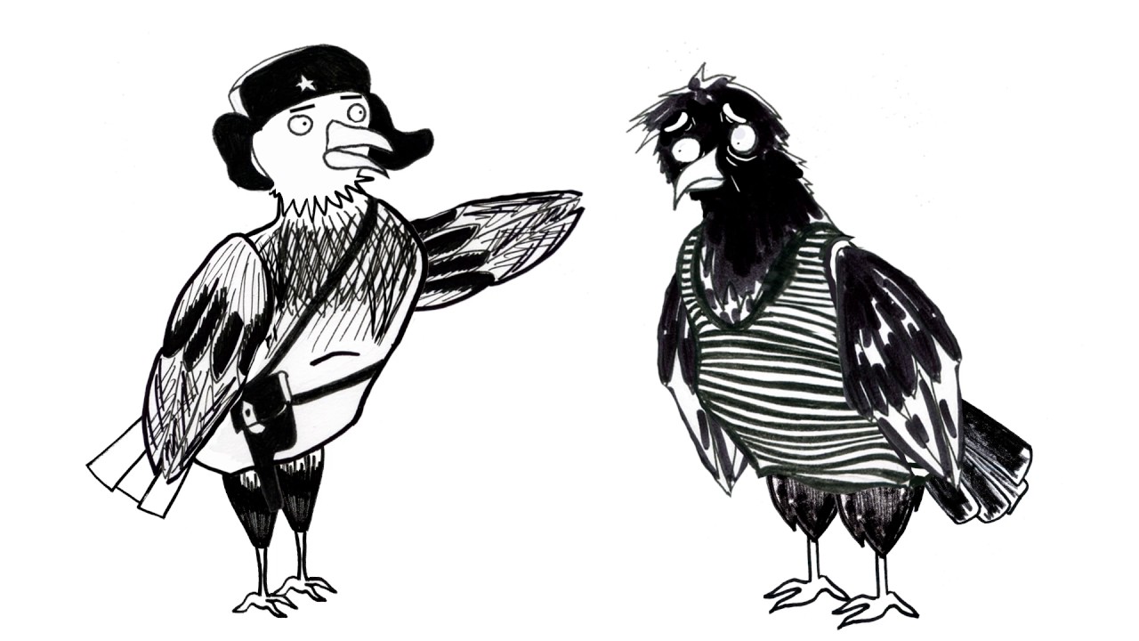 Red pigeons. ep 9 