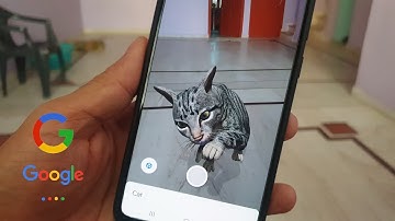 Google 3D Animal AR Feature Android & iPhone (10 Animal Video + Original Sound) Part 1