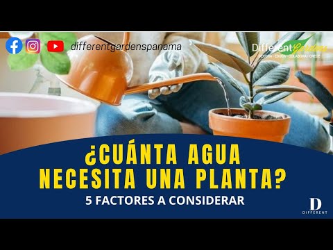 Video: ¿Cuánta agua salada puede tolerar una planta?