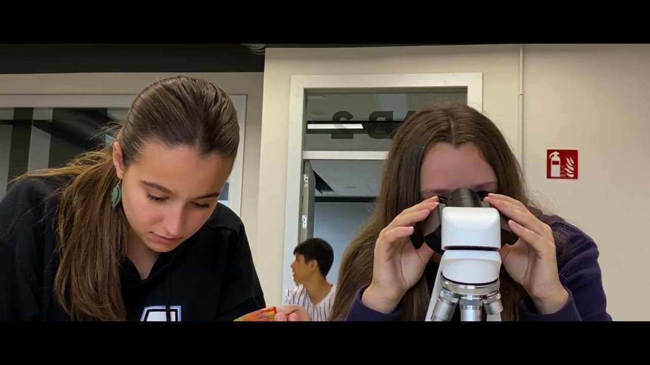 EGIN SALTO! Urretxindorra Ikastola Batxilergoa