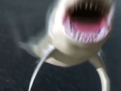 Mega Shark vs Giant Octopus - Official Trailer