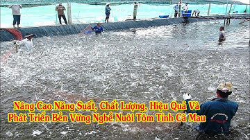 Cà Mau - Thủy Sản