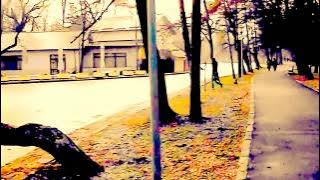 Mirabela Dauer  Ne-ar trebui o mie de ani We`ll need 1000 years to rebild...