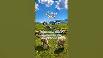 والبدن جعلناها لكم من شعائرالله|سورة الحج|تلاوة القرآن #takbeerat #عيد_سعيد #eidsaeed #viralshort