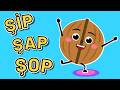 Ceviz Adam Şip Şap Şop Öğretiyor 🌰 Okul Öncesi Eğitici Çocuk Videoları
