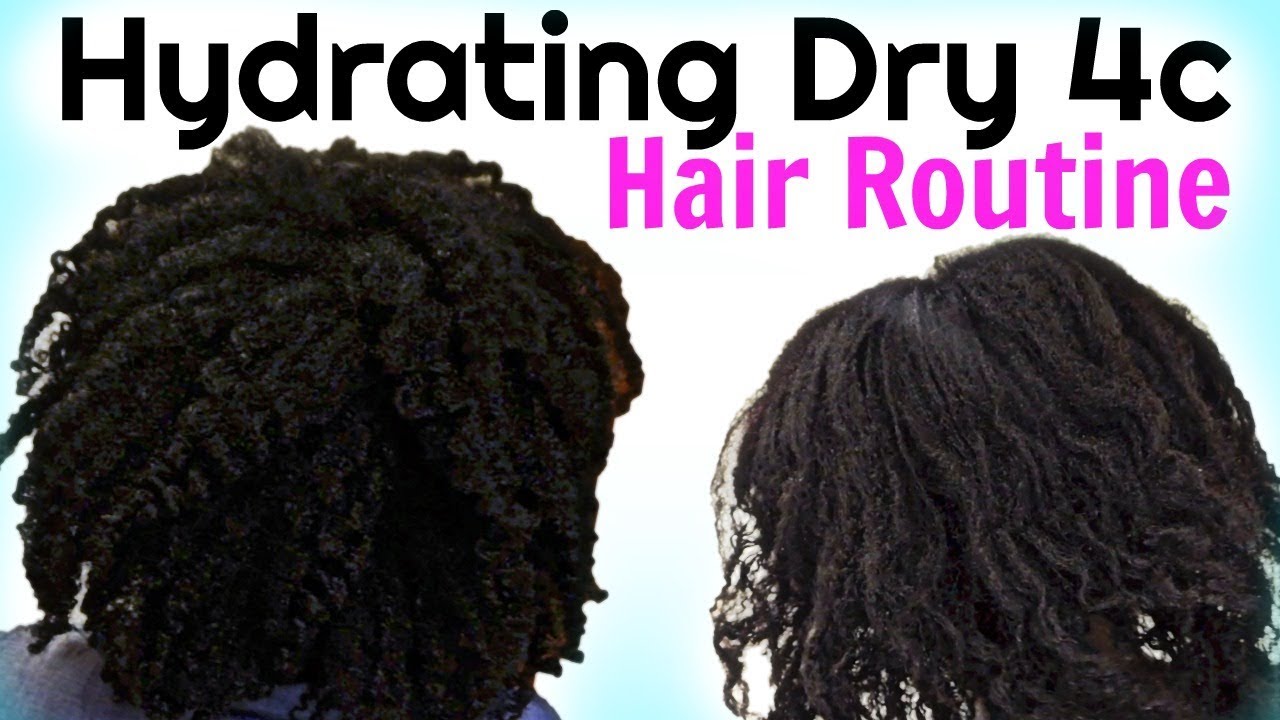 How To MOISTURIZE DRY Natural HAIR To Maximum Hydration - thptnganamst.edu.vn