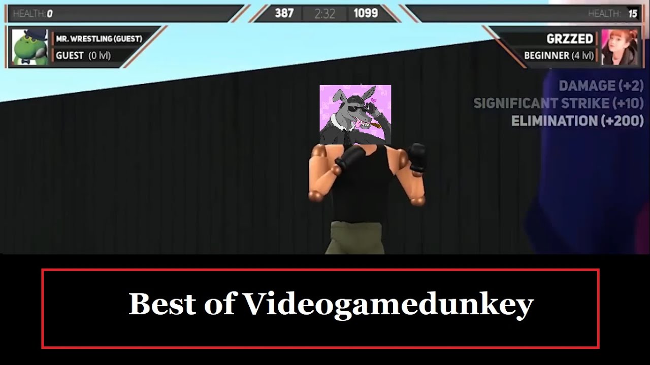 The hardest I've ever heard Videogamedunkey laugh