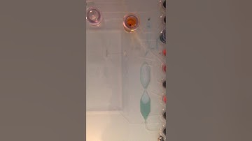 ALine Inc. Lab on a Chip Demonstration of Basic Microfluidic Chip Functions - M2D2